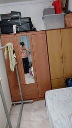 Hougang Street 91 (Hougang), HDB 3 Rooms #451829661